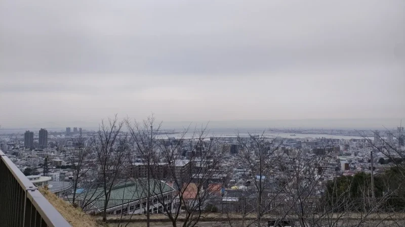 高台から見下ろした曇りの街並み。奥に海が見え、手前には枯れ木と柵が見える画像